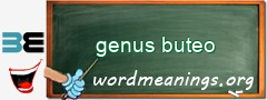 WordMeaning blackboard for genus buteo